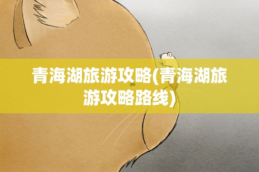 青海湖旅游攻略(青海湖旅游攻略路线)