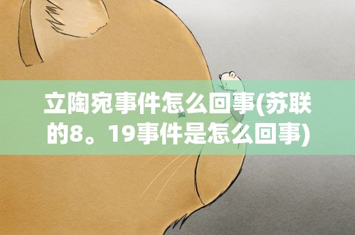 立陶宛事件怎么回事(苏联的8。19事件是怎么回事)