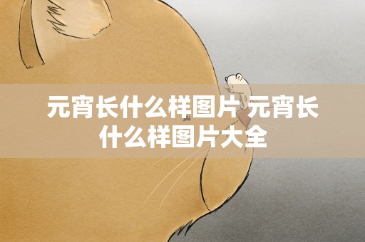 元宵长什么样图片 元宵长什么样图片大全