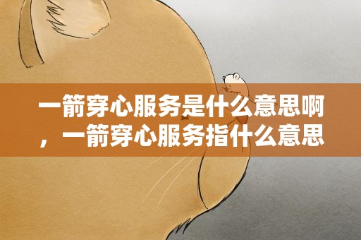 一箭穿心服务是什么意思啊，一箭穿心服务指什么意思啊
