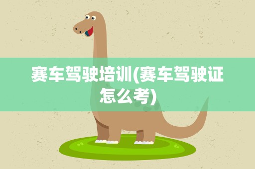 赛车驾驶培训(赛车驾驶证怎么考)