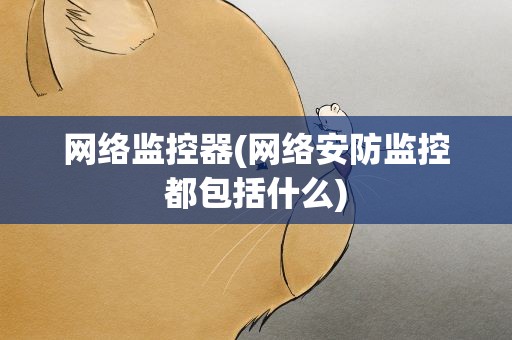 网络监控器(网络安防监控都包括什么)