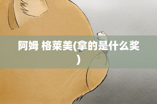 阿姆 格莱美(拿的是什么奖)