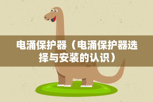 电涌保护器（电涌保护器选择与安装的认识）