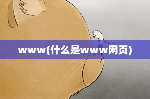 www(什么是www网页)
