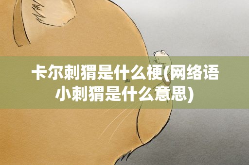 卡尔刺猬是什么梗(网络语小刺猬是什么意思)