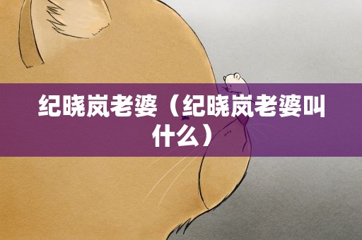 纪晓岚老婆（纪晓岚老婆叫什么）