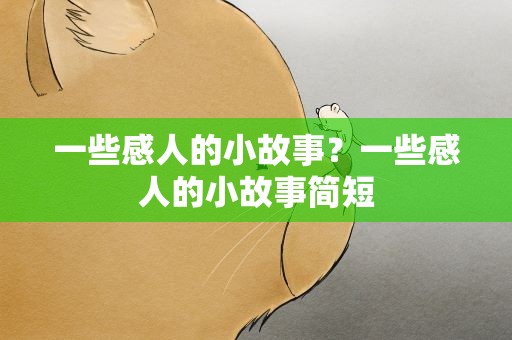 一些感人的小故事？一些感人的小故事简短