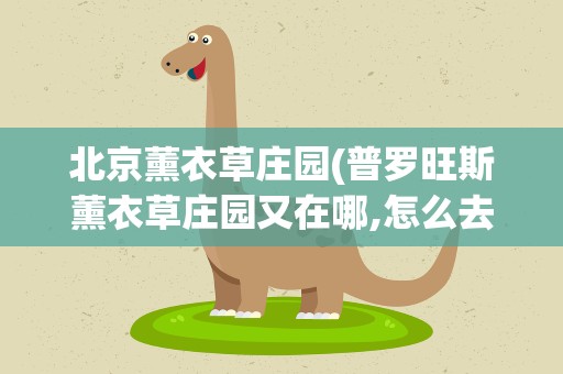 北京薰衣草庄园(普罗旺斯薰衣草庄园又在哪,怎么去)