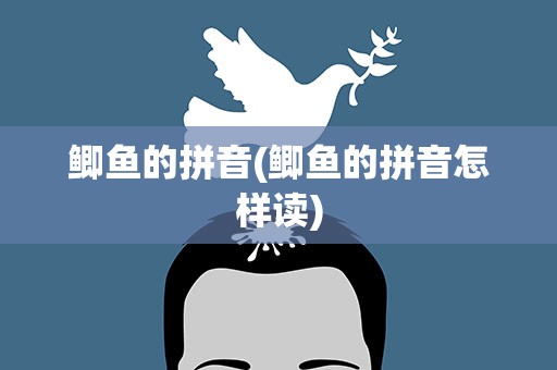 鲫鱼的拼音(鲫鱼的拼音怎样读)