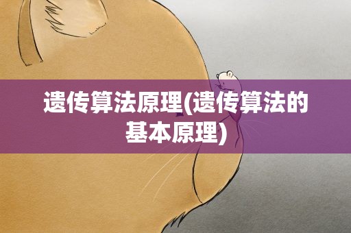 遗传算法原理(遗传算法的基本原理)