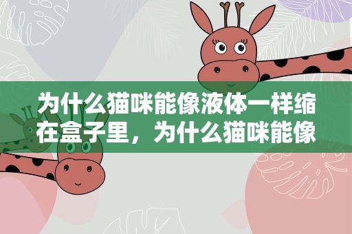 为什么猫咪能像液体一样缩在盒子里，为什么猫咪能像液体一样缩在盒子里面