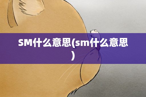 SM什么意思(sm什么意思)