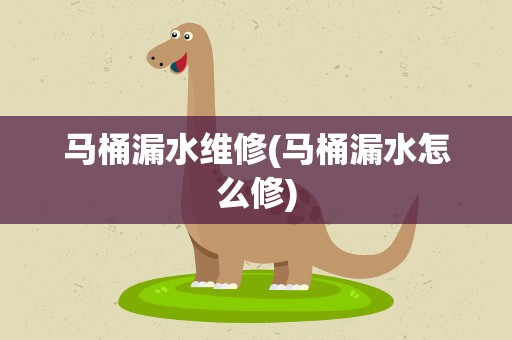马桶漏水维修(马桶漏水怎么修)