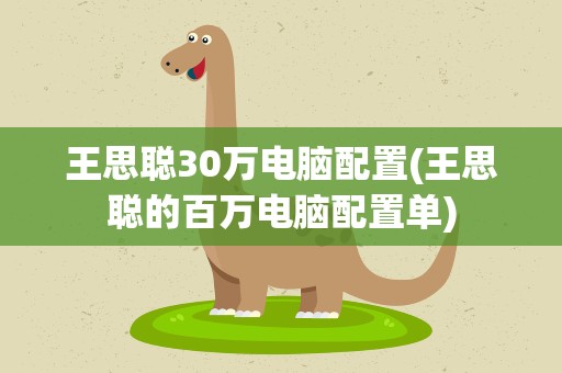 王思聪30万电脑配置(王思聪的百万电脑配置单)