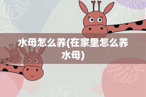 水母怎么养(在家里怎么养水母)
