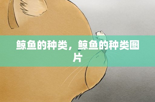 鲸鱼的种类，鲸鱼的种类图片