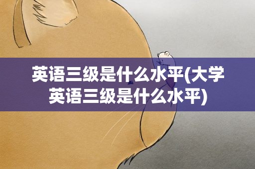 英语三级是什么水平(大学英语三级是什么水平)
