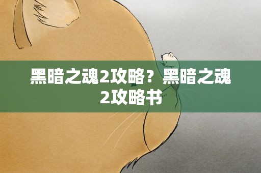黑暗之魂2攻略？黑暗之魂2攻略书