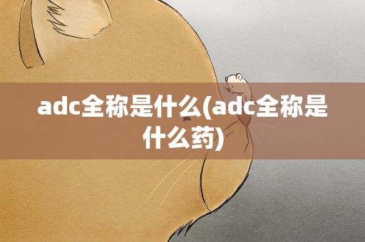 adc全称是什么(adc全称是什么药)