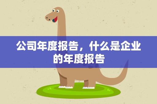 公司年度报告，什么是企业的年度报告