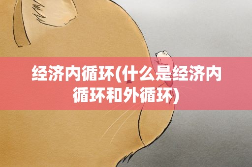 经济内循环(什么是经济内循环和外循环)