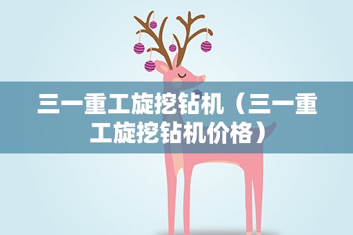 三一重工旋挖钻机（三一重工旋挖钻机价格）