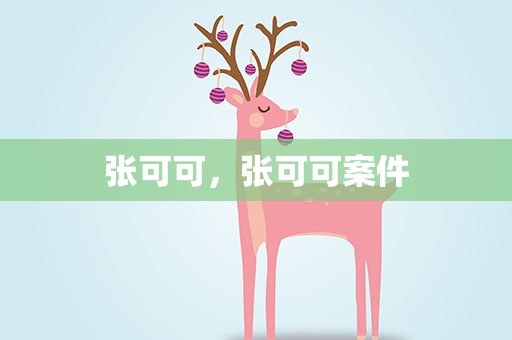 张可可，张可可案件