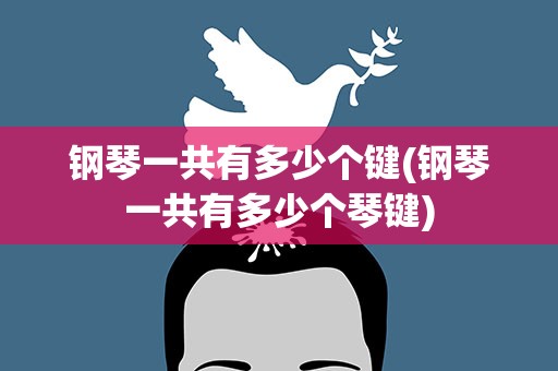 钢琴一共有多少个键(钢琴一共有多少个琴键)