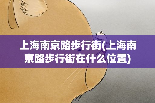 上海南京路步行街(上海南京路步行街在什么位置)