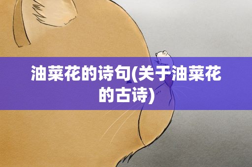 油菜花的诗句(关于油菜花的古诗)