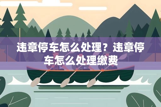 违章停车怎么处理？违章停车怎么处理缴费