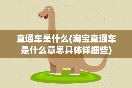 直通车是什么(淘宝直通车是什么意思具体详细些)