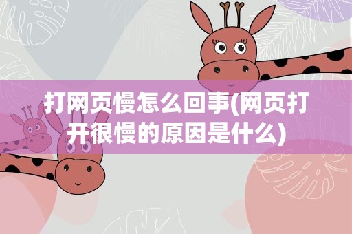 打网页慢怎么回事(网页打开很慢的原因是什么)