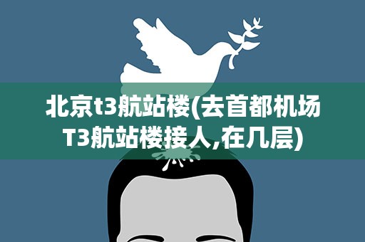 北京t3航站楼(去首都机场T3航站楼接人,在几层)