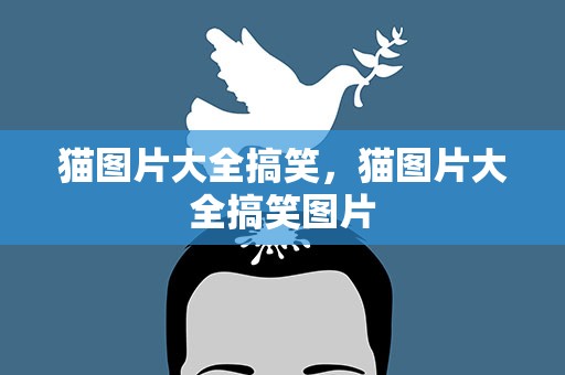 猫图片大全搞笑，猫图片大全搞笑图片