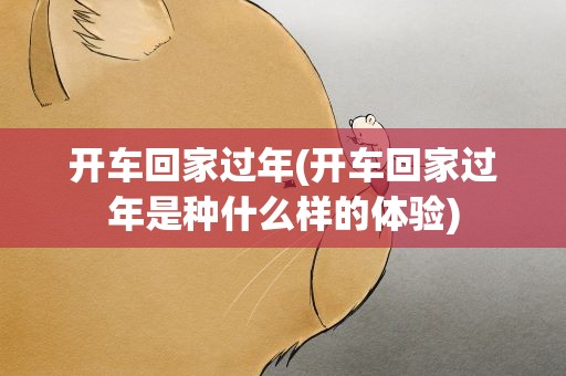 开车回家过年(开车回家过年是种什么样的体验)