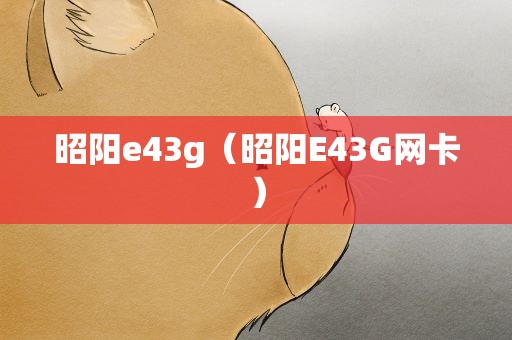 昭阳e43g（昭阳E43G网卡）