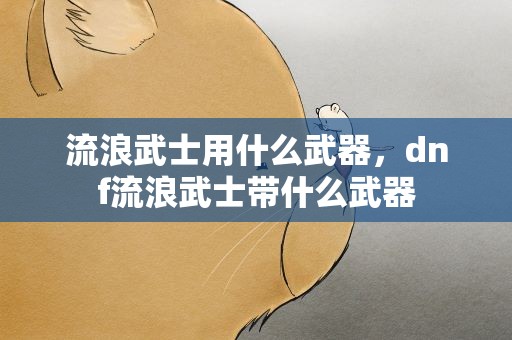 流浪武士用什么武器，dnf流浪武士带什么武器