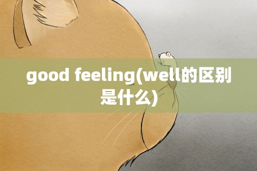 good feeling(well的区别是什么)