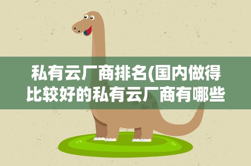 私有云厂商排名(国内做得比较好的私有云厂商有哪些)