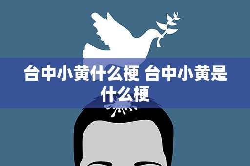 台中小黄什么梗 台中小黄是什么梗