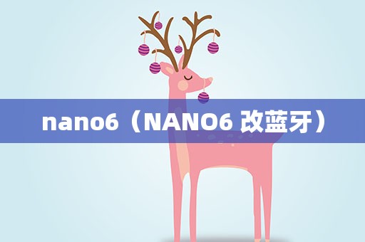 nano6（NANO6 改蓝牙）