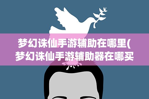 梦幻诛仙手游辅助在哪里(梦幻诛仙手游辅助器在哪买)