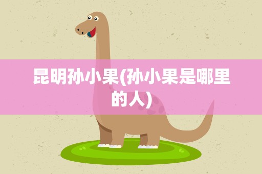 昆明孙小果(孙小果是哪里的人)