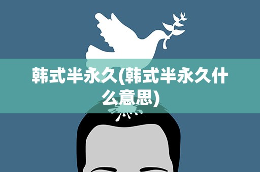 韩式半永久(韩式半永久什么意思)