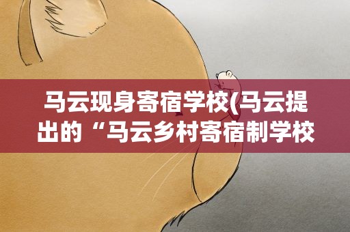 马云现身寄宿学校(马云提出的“马云乡村寄宿制学校计划”是怎么回事)