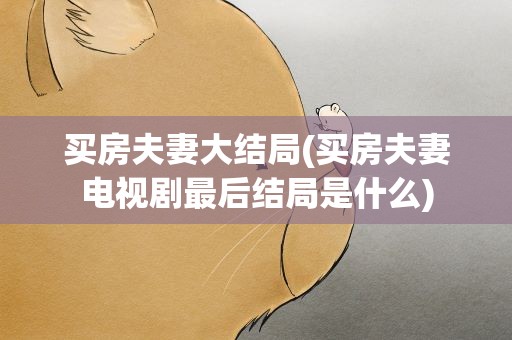 买房夫妻大结局(买房夫妻电视剧最后结局是什么)