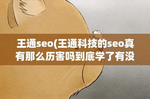 王通seo(王通科技的seo真有那么历害吗到底学了有没有用)