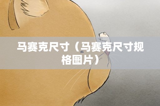 马赛克尺寸（马赛克尺寸规格图片）